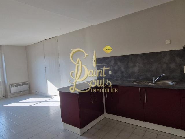 Appartement T3 En Duplex De 60.99 M2 60m² Richelieu