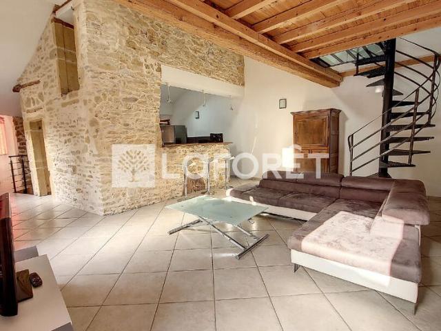 Appartement T3 ST ROMAIN AU MONT D OR à louer
