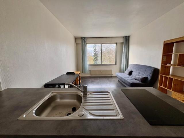APPARTEMENT T1 A LOUER A ROANNE PLACE DES PROMENADES