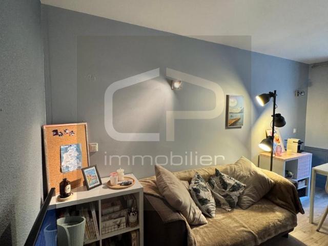 Appartement T1 bis avec coin nuit et espace de stockage ? Centre de Veyrier du Lac