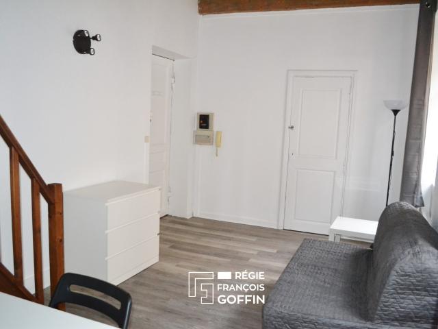 Appartement T1 meublé de 23,78 m² + mezzanine à LYON 7