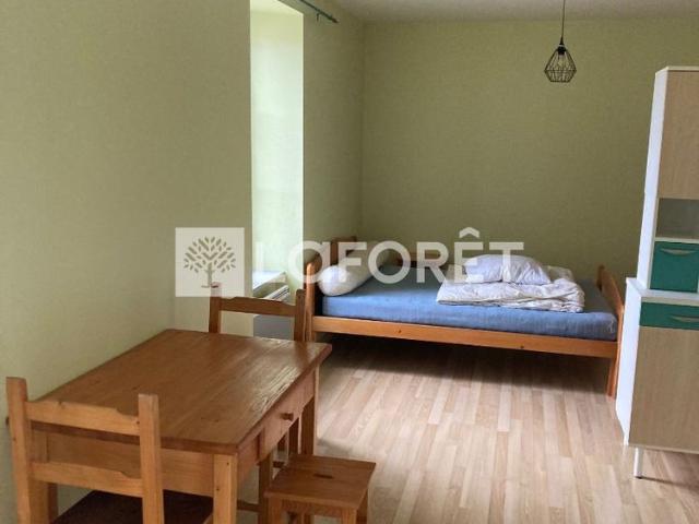 Appartement T1 RIOM ES MONTAGNES à louer