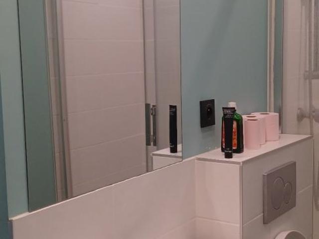 APPARTEMENT T1BIS ENTIEREMENT RENOVE RUE DES TEINTURIERS