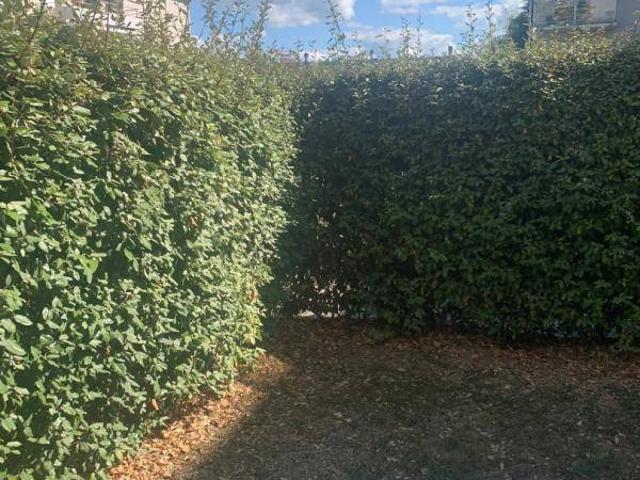 Appartement T2 42.12m2 à louer à Pau | Pichet