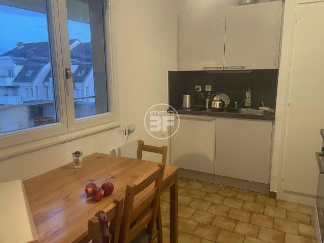 Appartement T2 16 avenue de la Marne 68300 Saint Louis