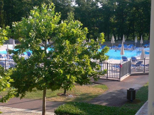 Appartement T2 de 30 m2 Balcon Résidence avec piscine Monflanquin