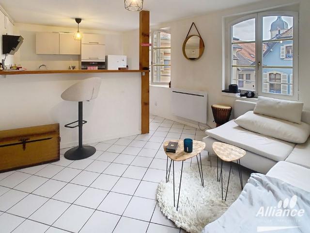 Appartement T2 de 35m2 à Delle