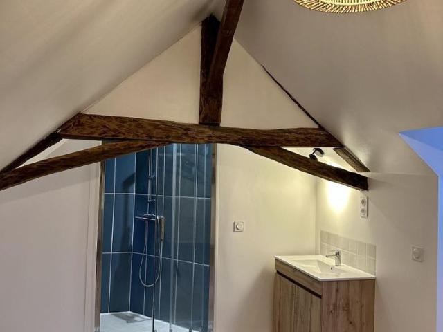 APPARTEMENT T2 EN DUPLEX RENOVE