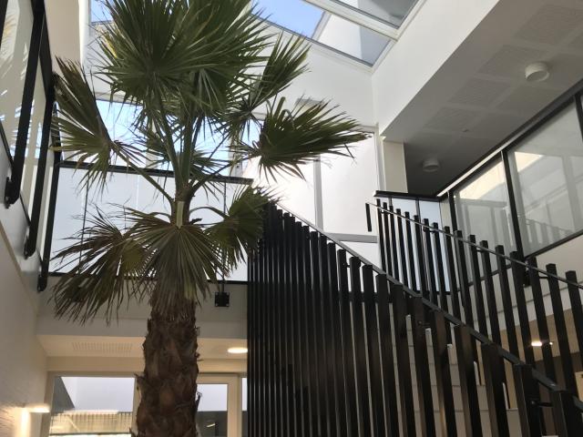 Appartement T2 en location à TOULOUSE