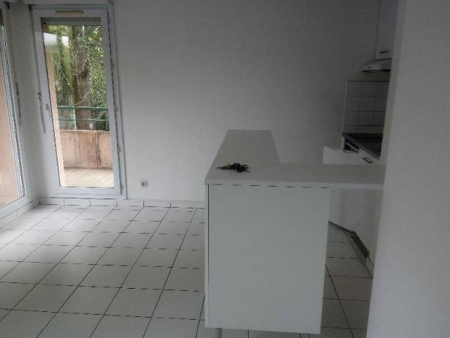 Appartement T2 & Gde TERRASSE & METRO B fac Pharmacie 31400 TLSE