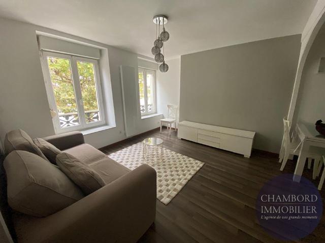 Appartement T2 meublé BLOIS Vienne Vue Loire