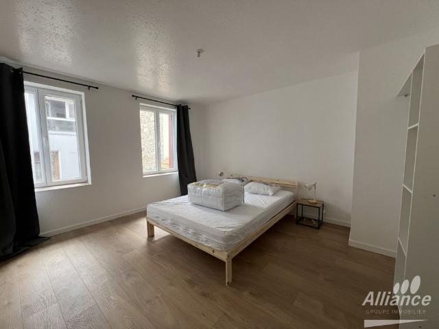 APPARTEMENT T2 MEUBLE MONTBELIARD