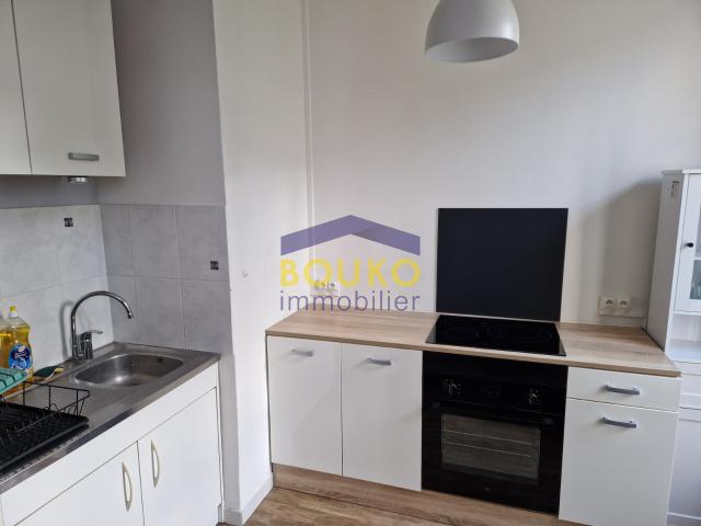 APPARTEMENT T2 NANCY CENTRE