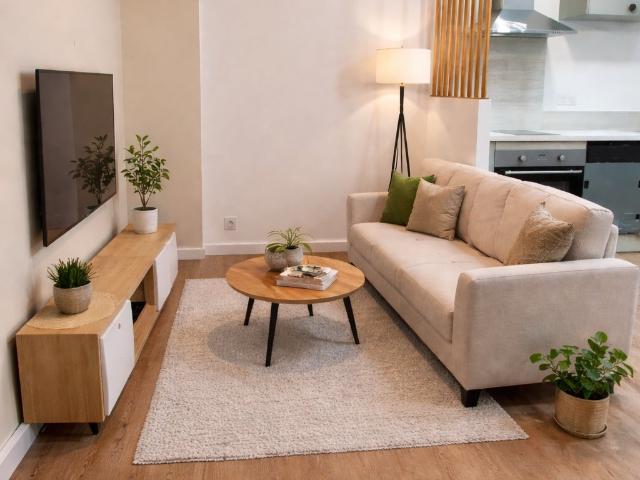 Appartement T2 refait à neuf en centre ville