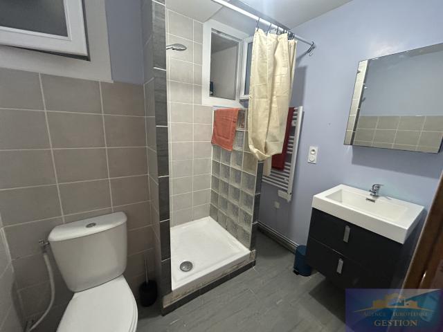 Appartement T2bis meublé de 67m² avec cave