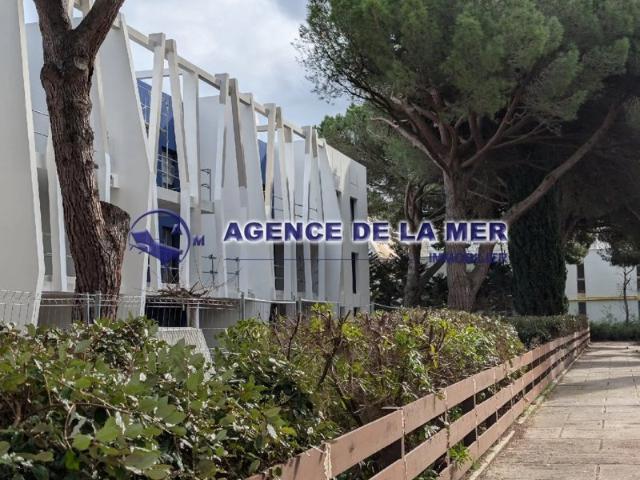 Appartement T3/4 solarium p+ pking + cave
