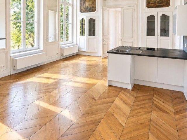 Appartement T4 avec grand jardin à Lille