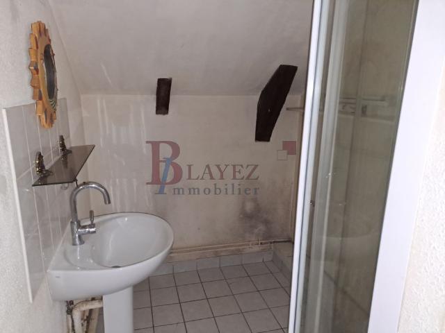 Appartement T4 lumineux avec jardin et dernier étage
