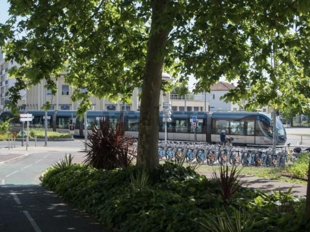 Appartement, Talence