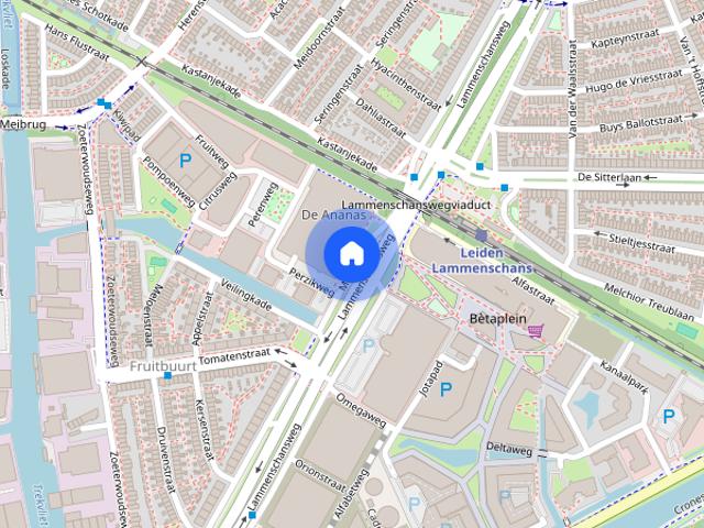 Appartement te huur: Mangoweg 347 2321 HZ Leiden