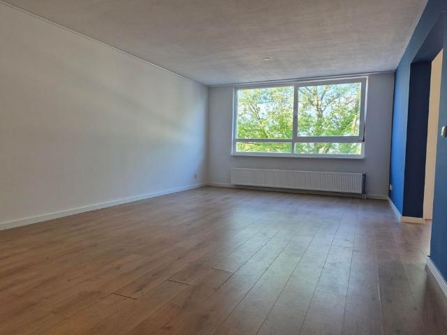 Appartement te huur: Mariëttahof 53 2033 WS Haarlem