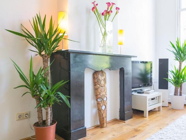 Appartement te huur: Bezuidenhoutseweg 257 B 2594 AM Den Haag