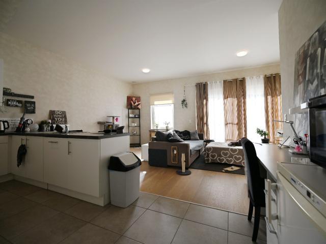 Appartement te huur in Maldegem met 2 slaapkamers