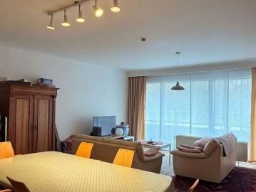 2640, Arrondissement de Anvers, Province de Anvers, Flandre