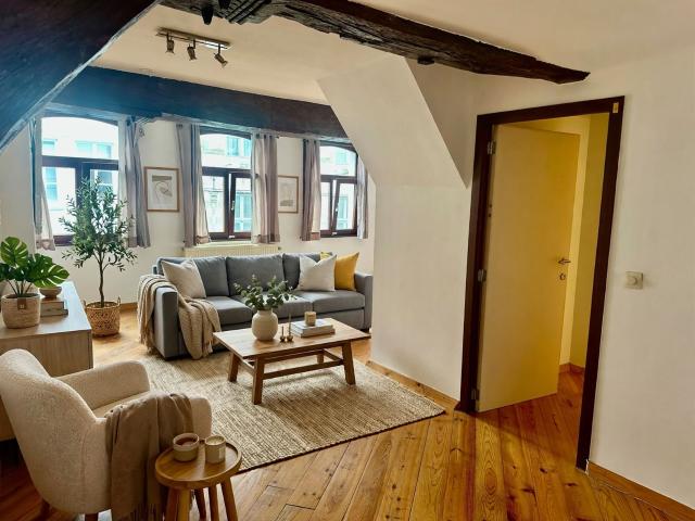 Appartement te huur in Oudenaarde met 1 slaapkamer