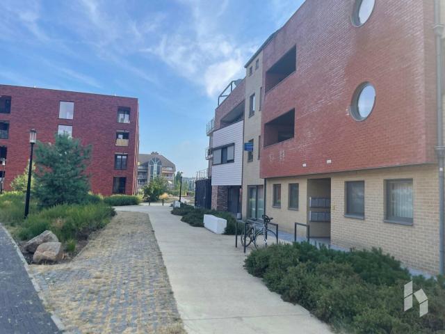 Appartement te huur in Overpelt – Huiskantoor