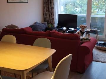 Appartement te huur in Oostende voor € 770 met 1 slaapkamer