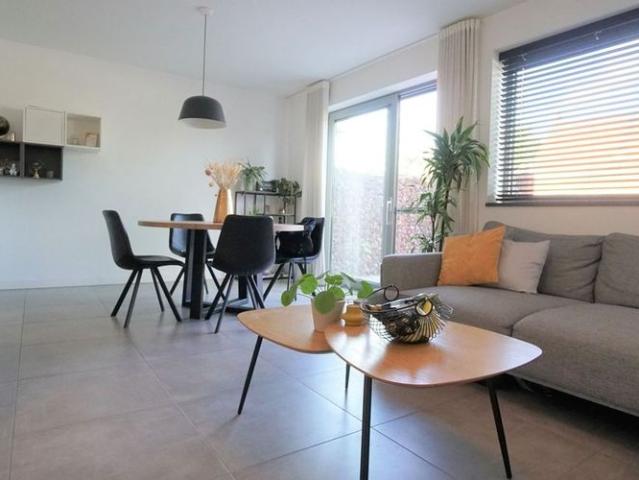 Appartement te huur in Assenede voor € 825 met 1 slaapkamer