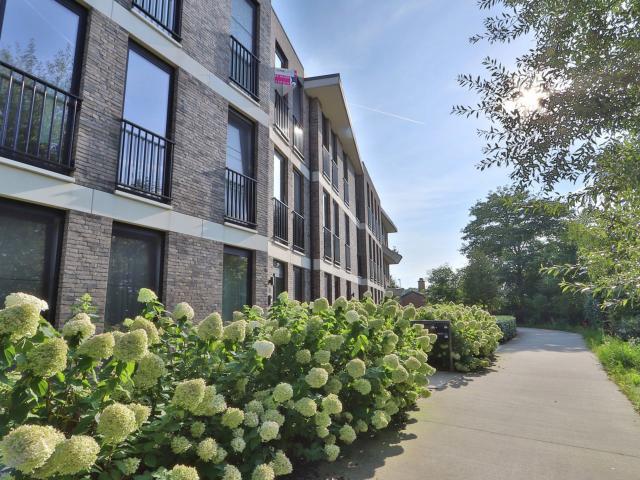 Appartement te huur in Beveren met 2 slaapkamers