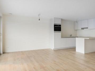 2440, Geel, Province de Anvers, Flandre
