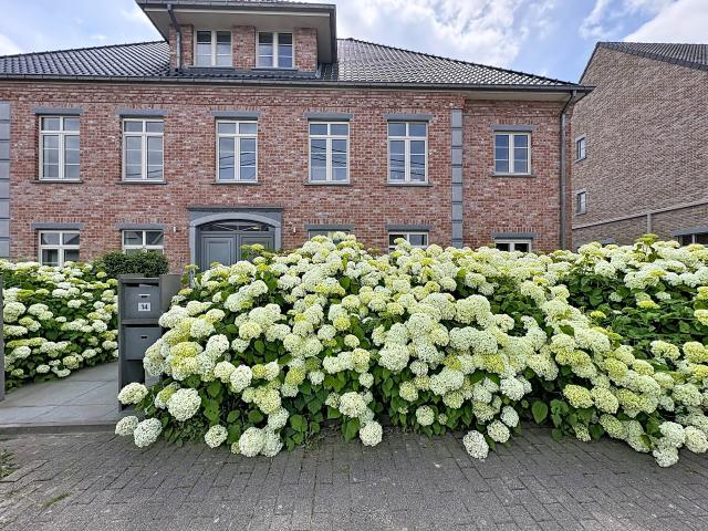 Appartement te huur in Grimbergen met 4 slaapkamers