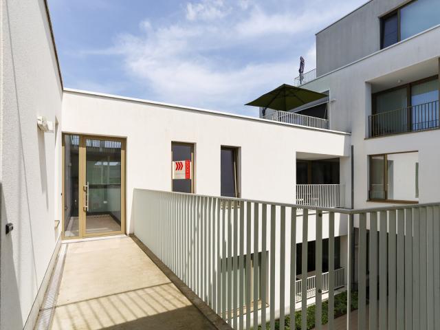 Appartement te huur in Haasdonk met 2 slaapkamers