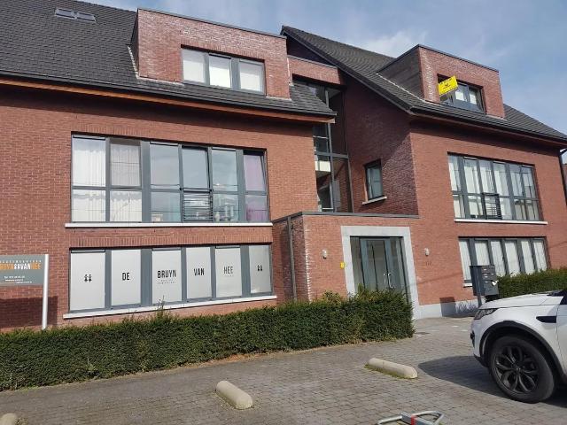 Appartement te huur in Hamme met 3 slaapkamers