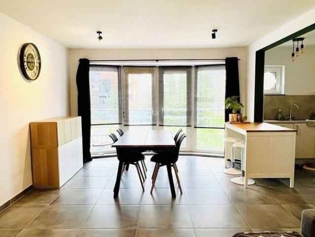 Appartement te huur in Hamme voor € 770 met 1 slaapkamer