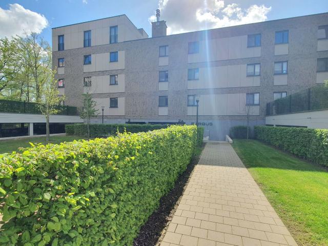 Appartement te huur in Hasselt