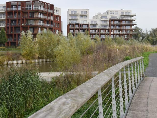 Appartement te huur in Harelbeke met 2 slaapkamers