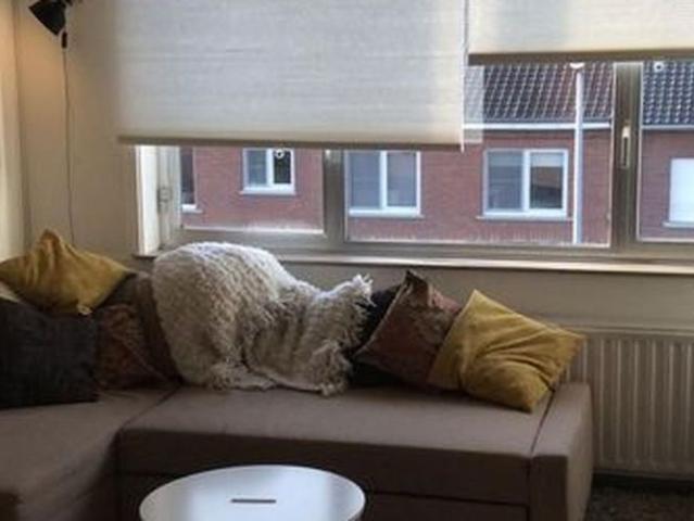 Appartement te huur in Heverlee voor € 790 met 1 slaapkamer