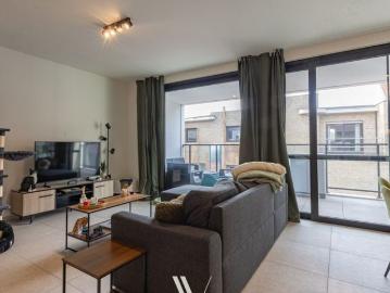 8870, Roeselare, Roulers, Flandre-Occidentale, Flandre