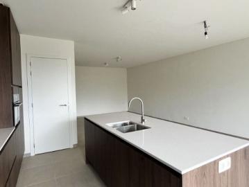 8770, Roeselare, Roulers, Flandre-Occidentale, Flandre