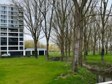 8770, Roeselare, Roulers, Flandre-Occidentale, Flandre