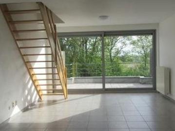 3740, Bilzen, Arrondissement de Tongres, Flandre