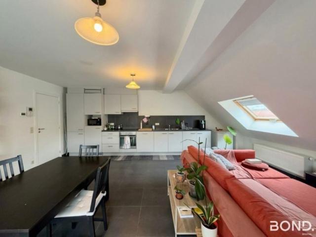 Appartement te huur in Leuven