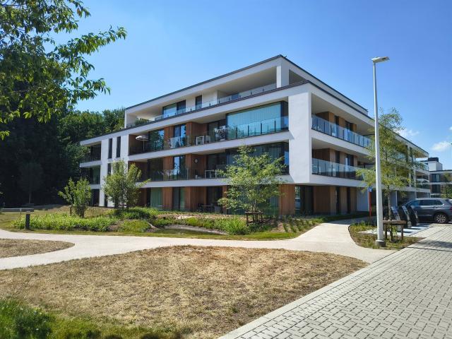 Appartement te huur in Lokeren met 1 slaapkamer
