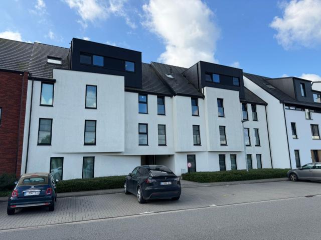 Appartement te huur in Puurs met 2 slaapkamers