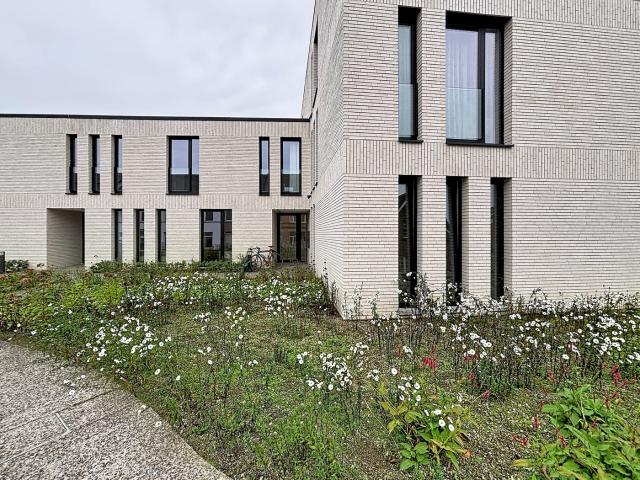Gelijkvloers appartement te huur in Rupelmonde met 2 slaapkamers