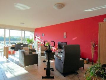 8800, Roeselare, Roulers, Flandre-Occidentale, Flandre